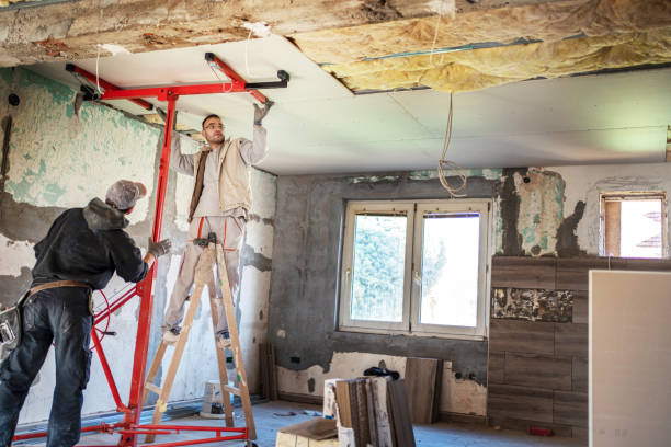 Best Insulation Maintenance and Repair in Bridgetown, MS