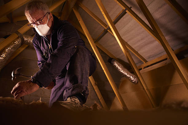 Best Insulation for Specific Applications in Bridgetown, MS